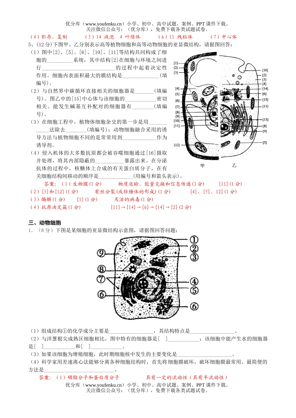 高中三年级生物复习细胞的亚显微结构图测试卷_第3页