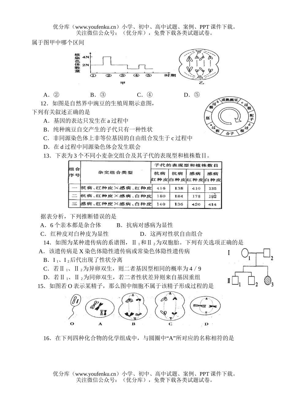 高中三年级生物第一学期期中考试卷_第3页