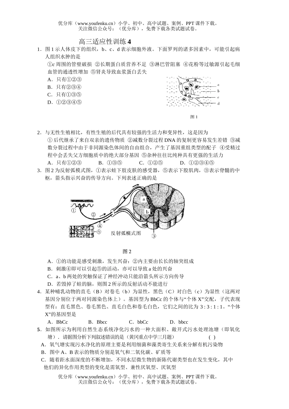 高中三年级生物适应性训练4试卷_第1页