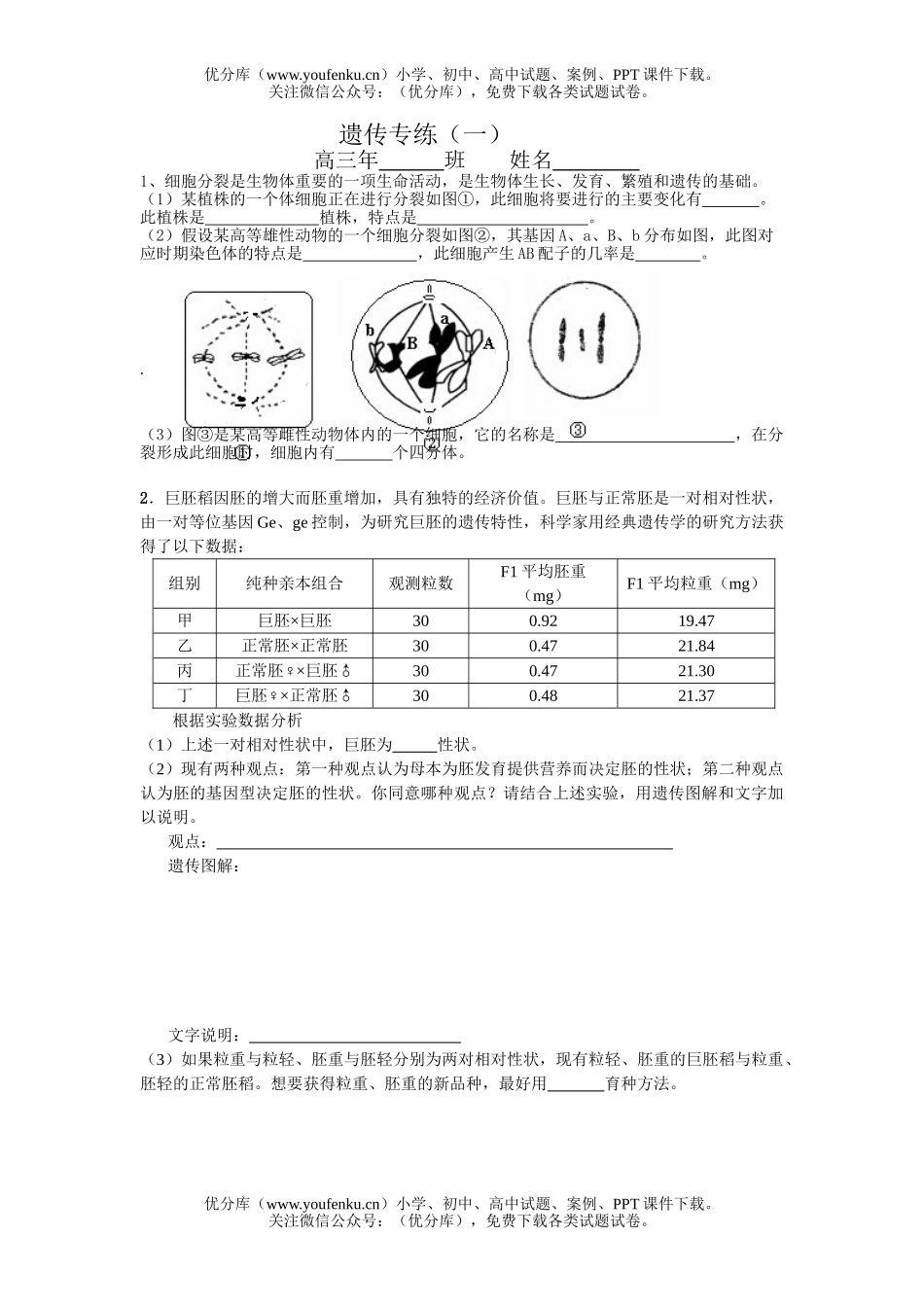 高中三年级生物遗传练习试卷_第1页