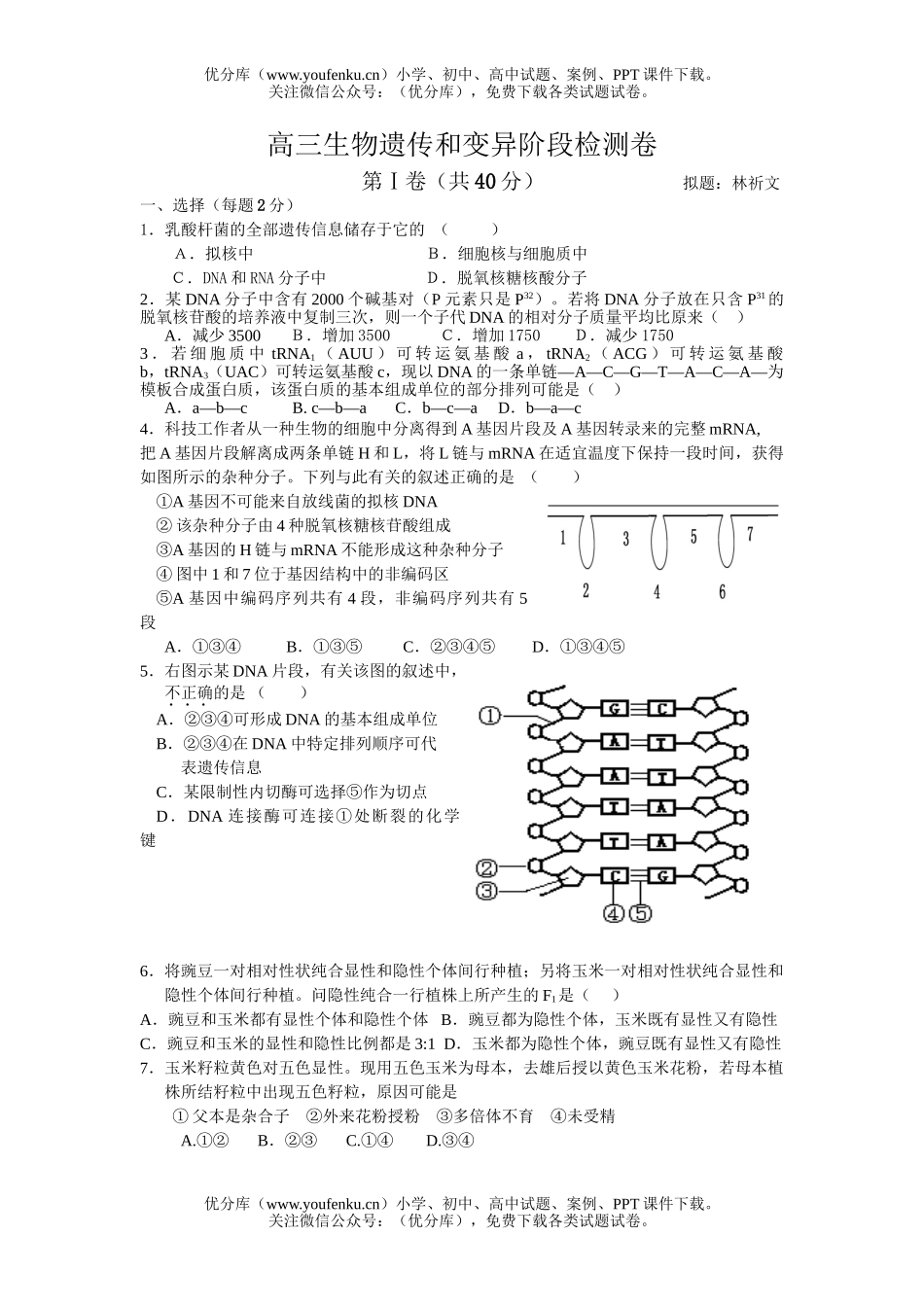 高中三年级生物遗传和变异单元检测1试卷_第1页