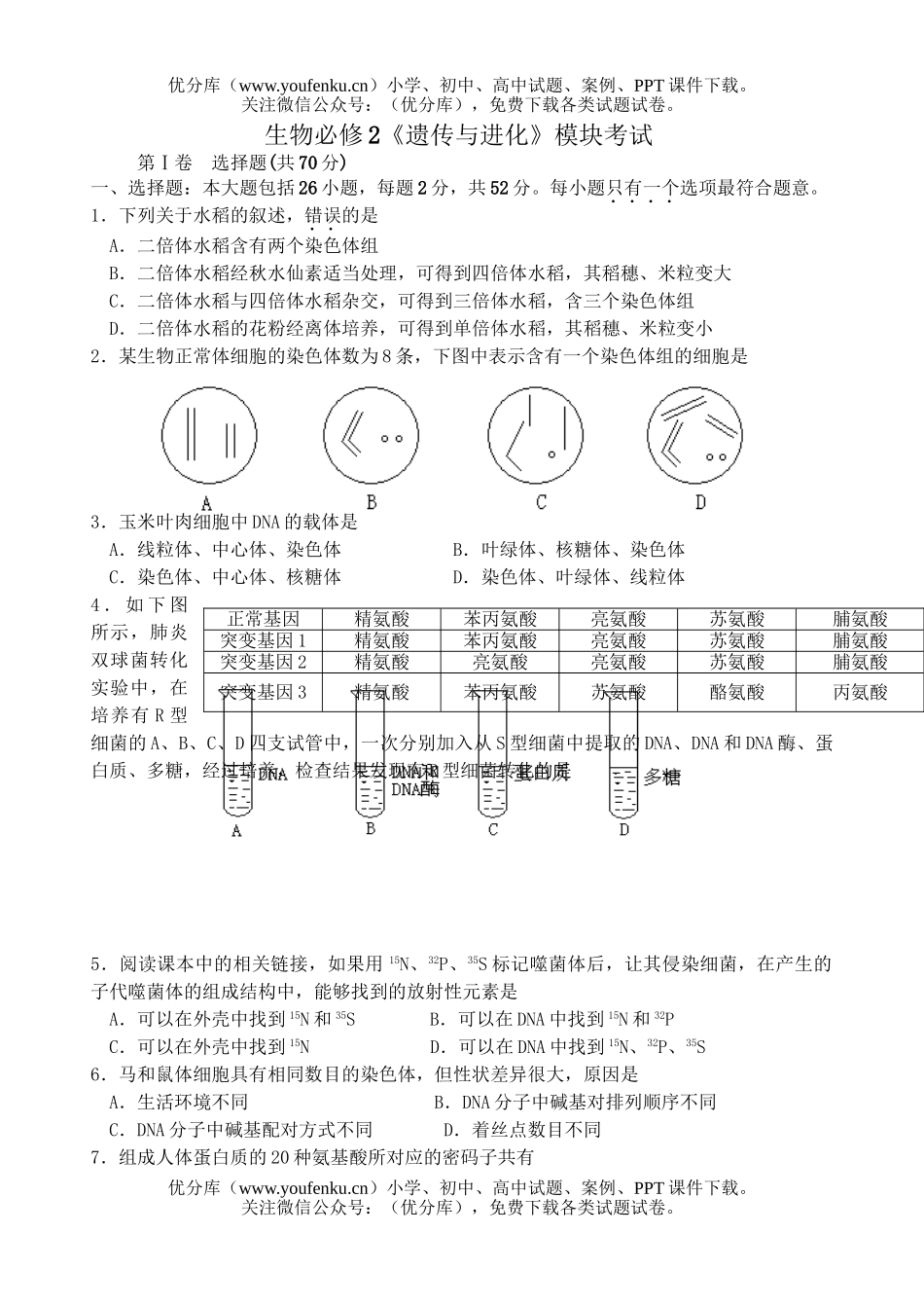 高中三年级生物遗传与进化模块考试卷_第1页