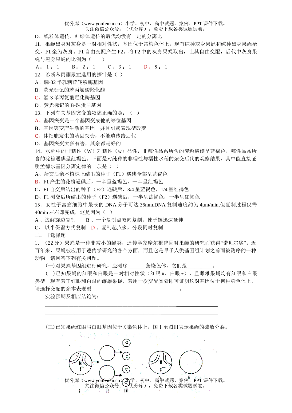 高中三年级生物遗传与变异综合题训练试卷_第2页