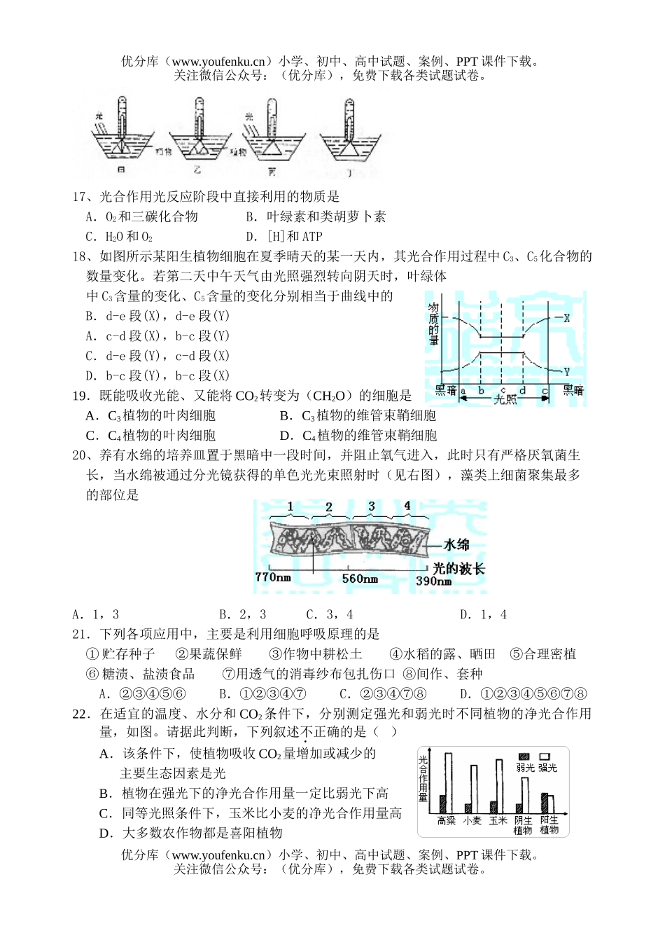 高中三年级生物绿色植物的新陈代谢测试卷_第2页