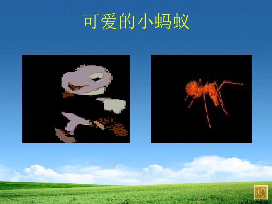 《上天的蚂蚁》PPT课件[北师大版二年级语文上册]_第3页