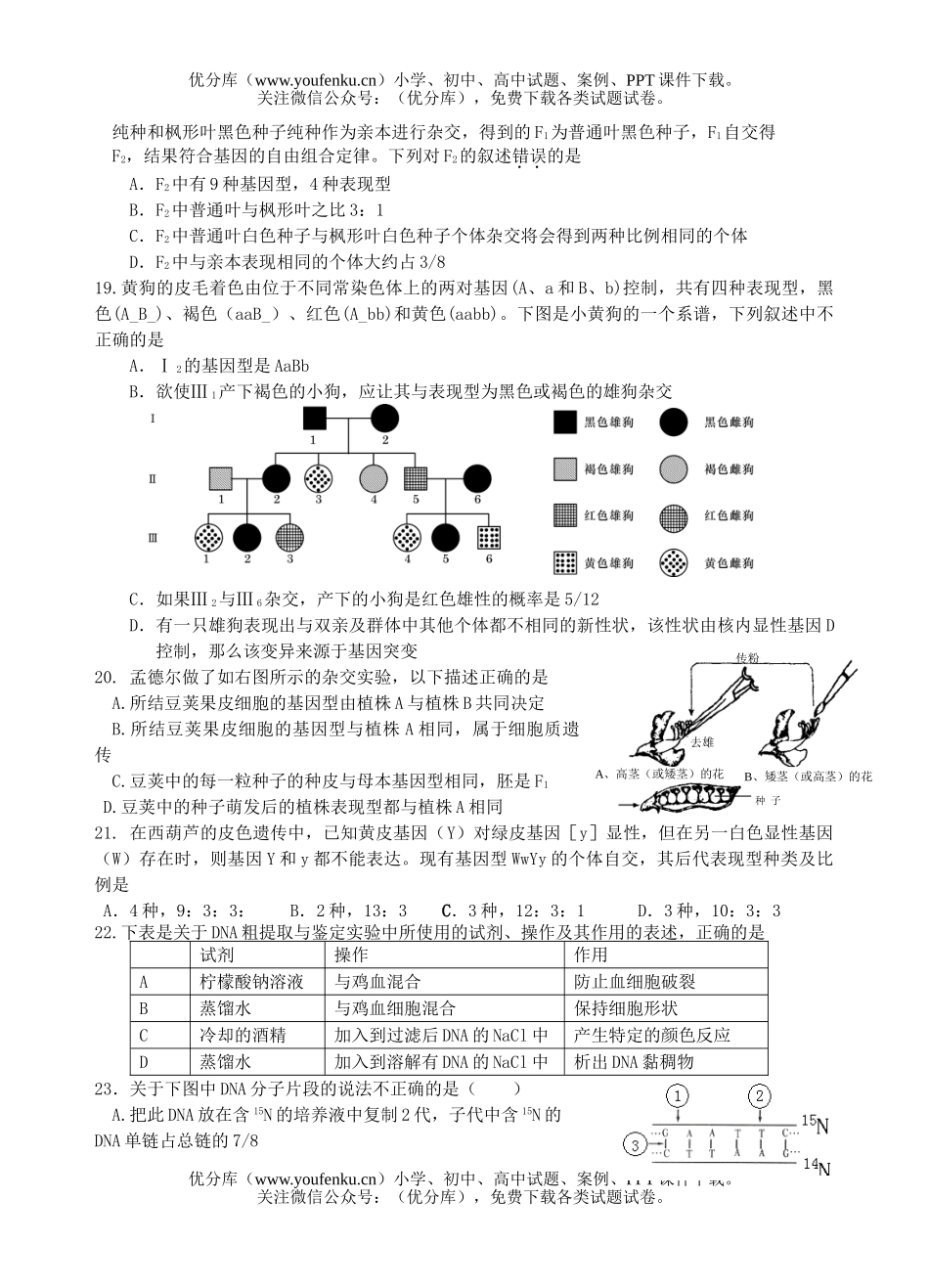 高中三年级生物遗传与变异专题测试卷_第3页