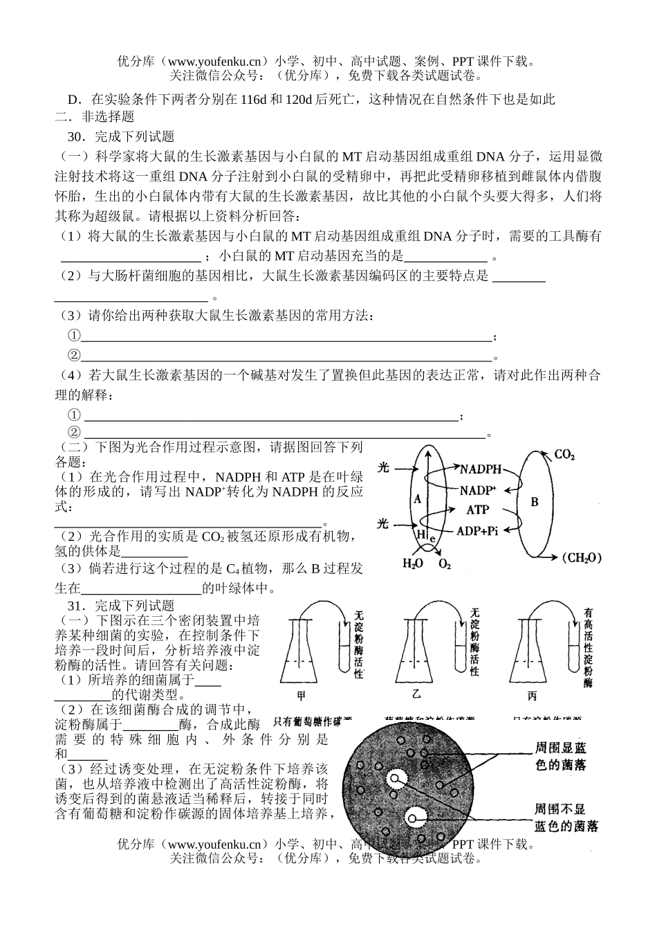 高中三年级生物高考二轮复习课时测试4试卷_第2页