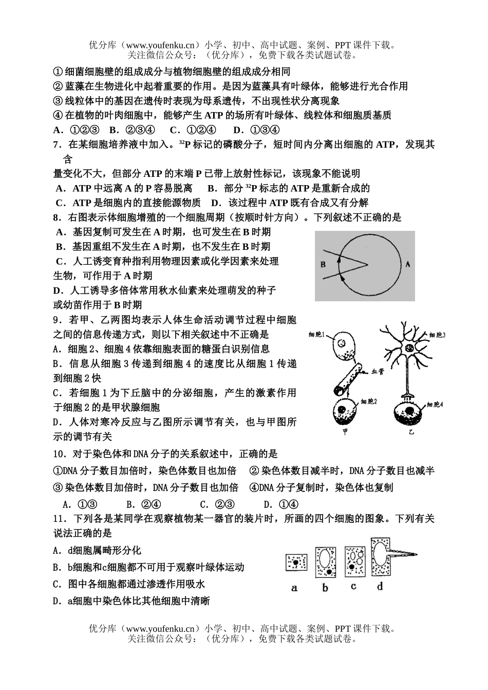高中三年级生物第一学期月考I试卷_第2页
