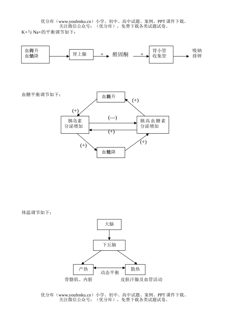 高中三年级生物高考第一轮总复习讲座之2试卷_第2页
