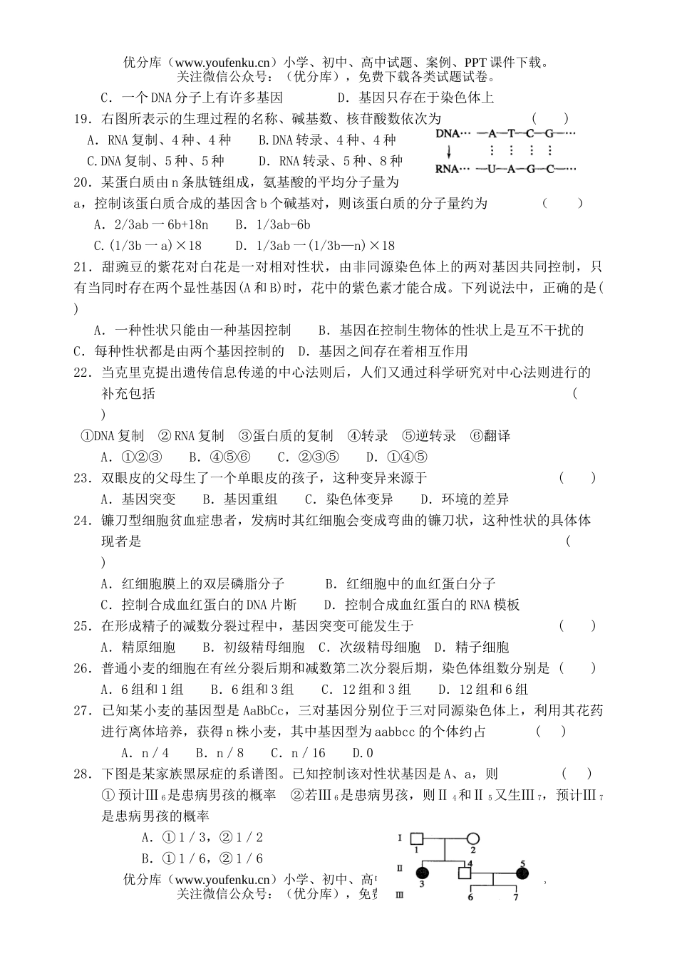 高中三年级生物遗传与进化训练2试卷_第3页