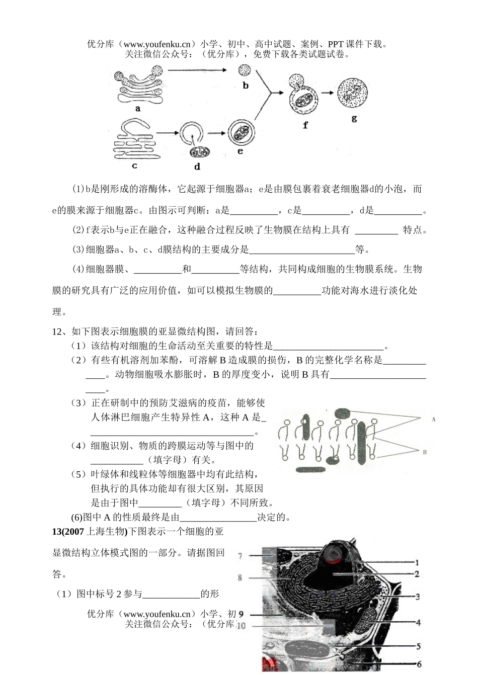 高中三年级生物细胞的结构功能膜系统题试卷_第3页