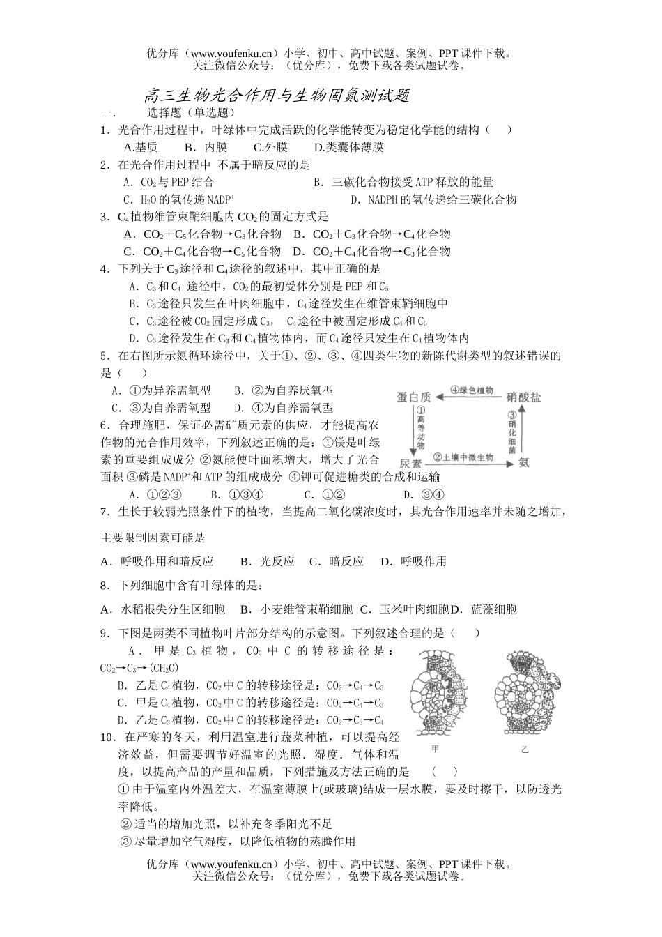 高中三年级生物光合作用与固氮测试卷_第1页