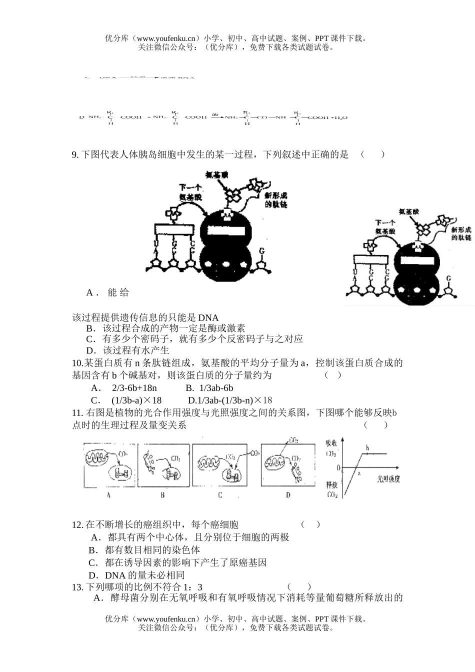 高中三年级生物第一学期期中考试1试卷_第3页