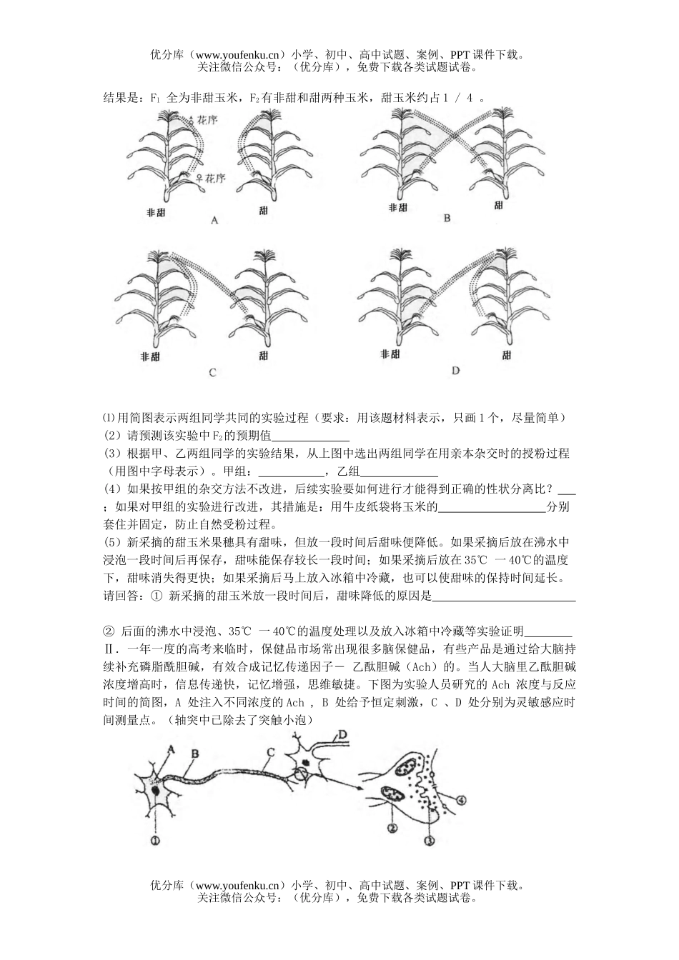 高中三年级生物08届理综原创模拟试卷_第2页