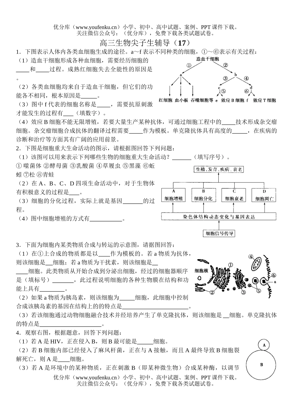 高中三年级生物尖子生辅导17试卷_第1页