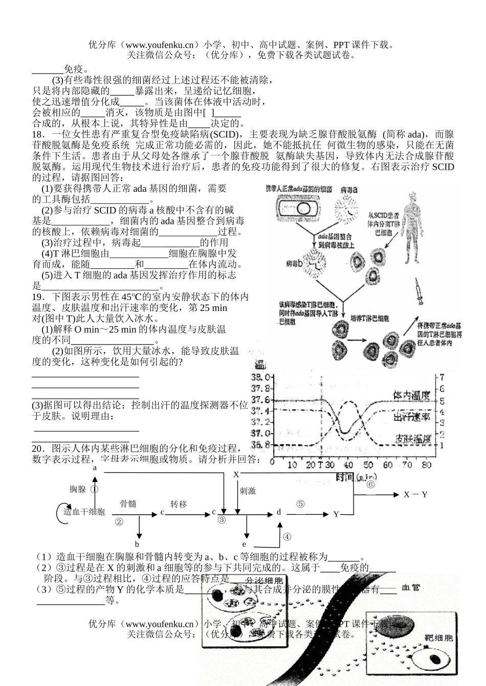 高中三年级生物尖子生辅导11试卷_第3页