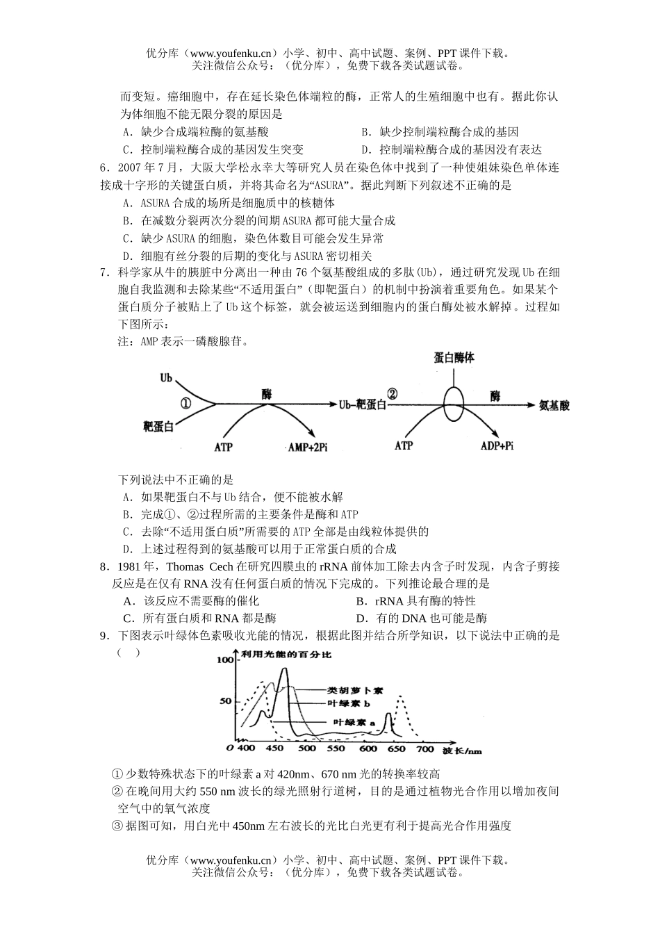 高中三年级生物08届仿真测试卷_第2页