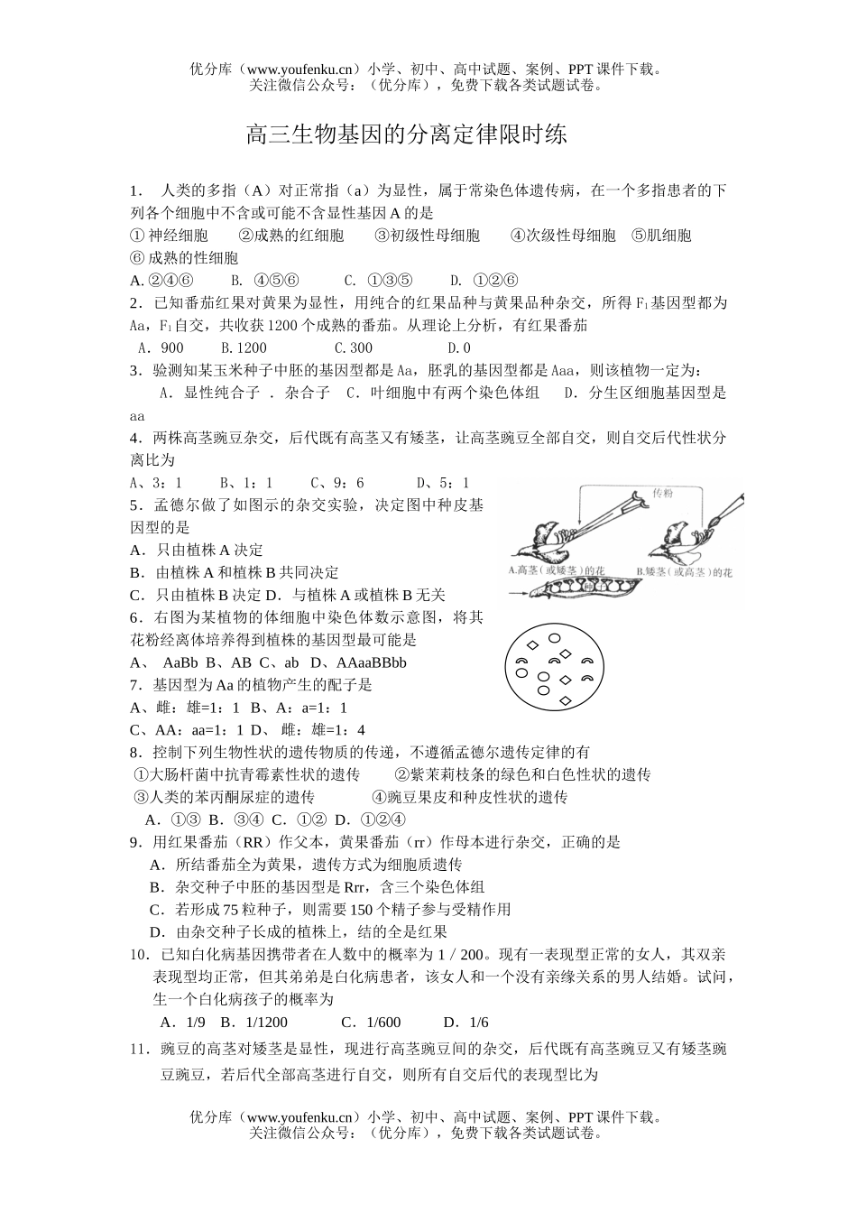 高中三年级生物基因的分离定律限时练试卷_第1页