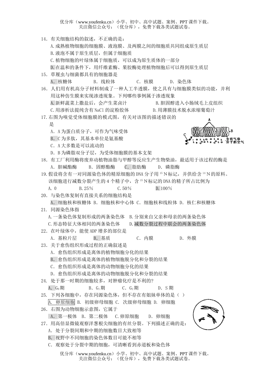 高中三年级生物易错选择题四试卷_第2页