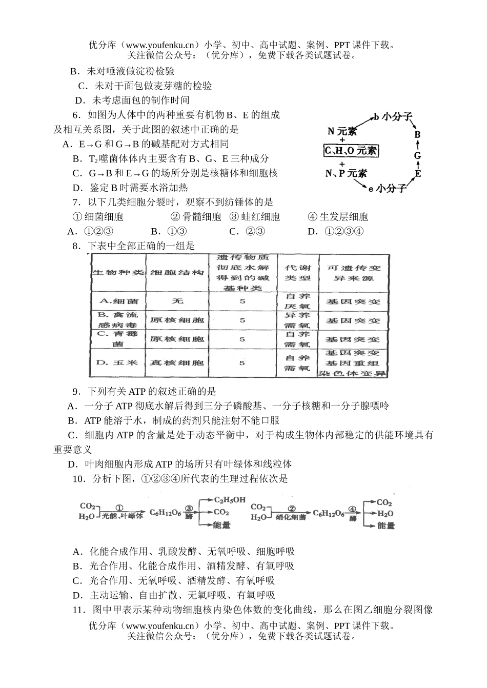 高中三年级生物第一学期期中考试卷_第2页