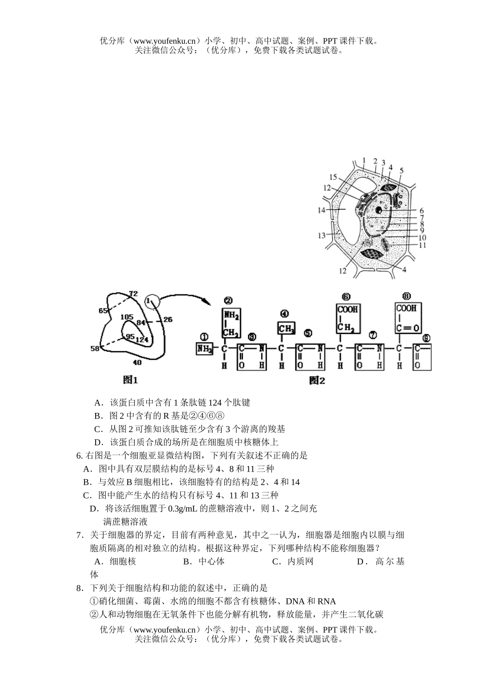 高中三年级生物08届模拟考试卷_第2页