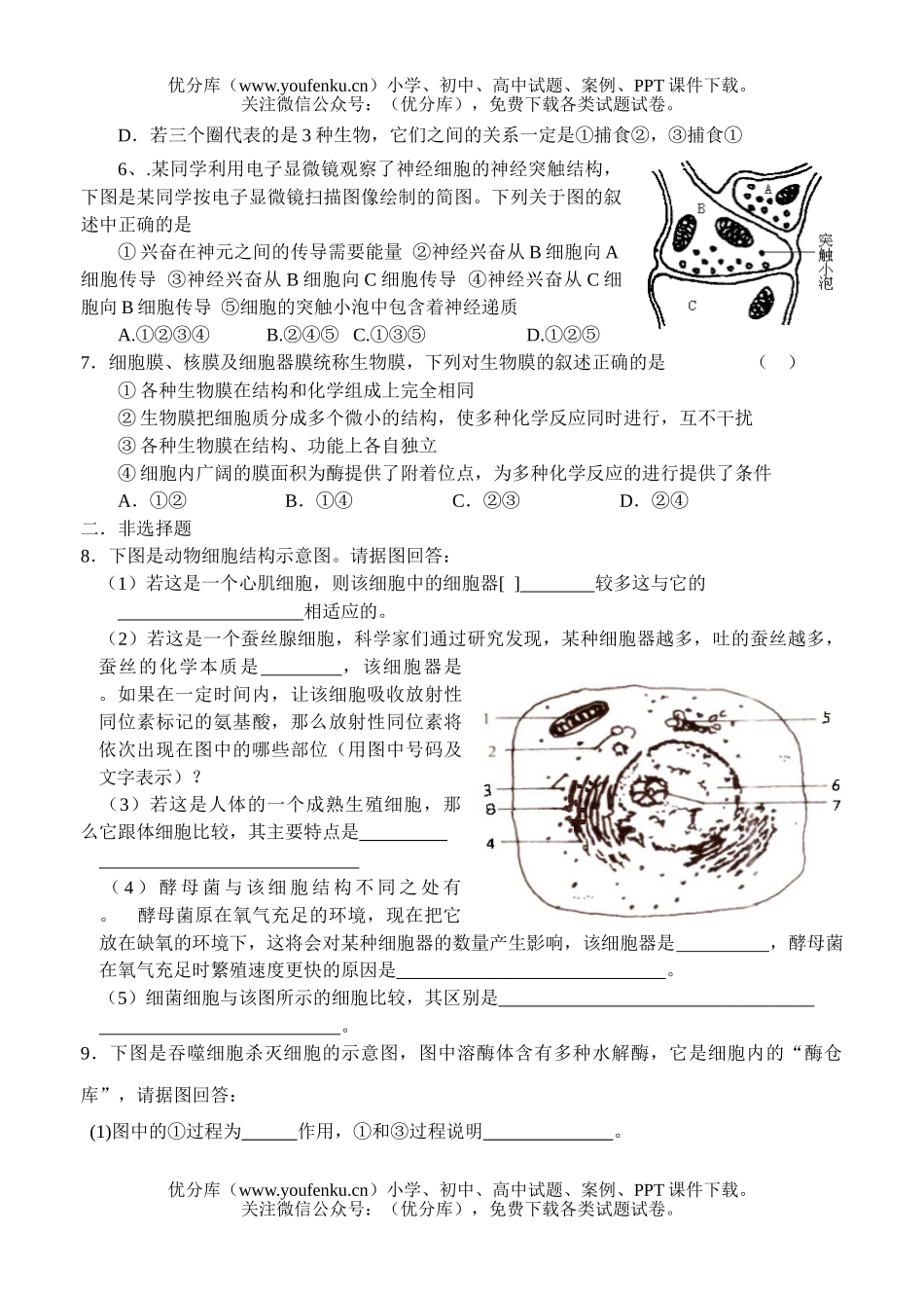 高中三年级生物强化训练1试卷_第2页