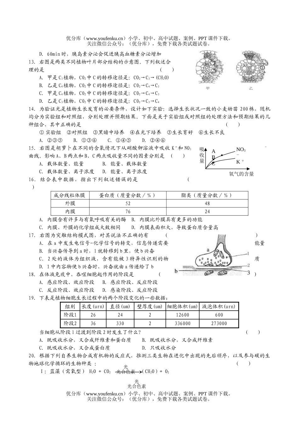 高中三年级生物08年学第三轮专题训练精品1试卷_第3页