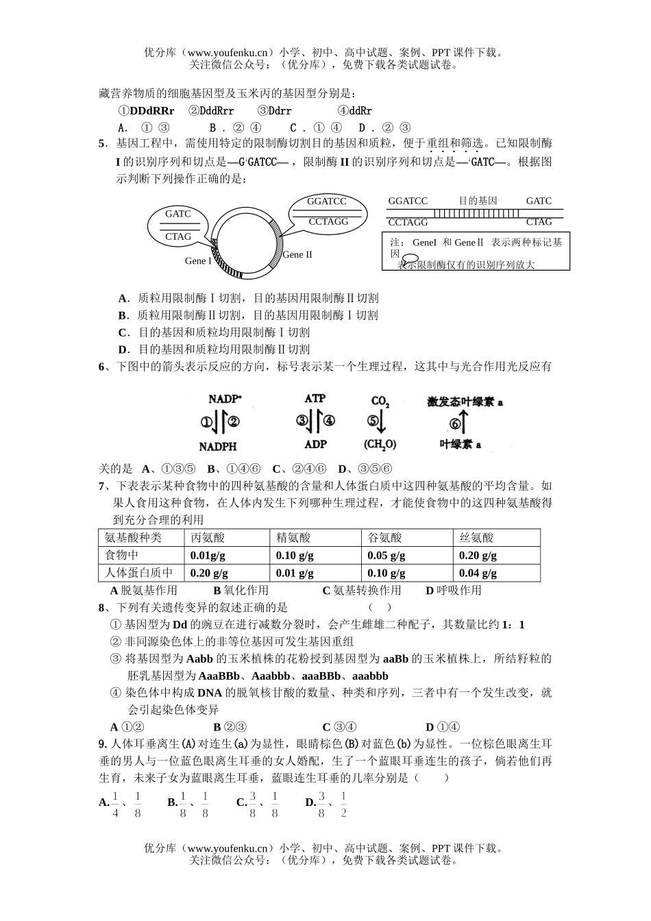 高中三年级生物综合复习训练六试卷_第1页