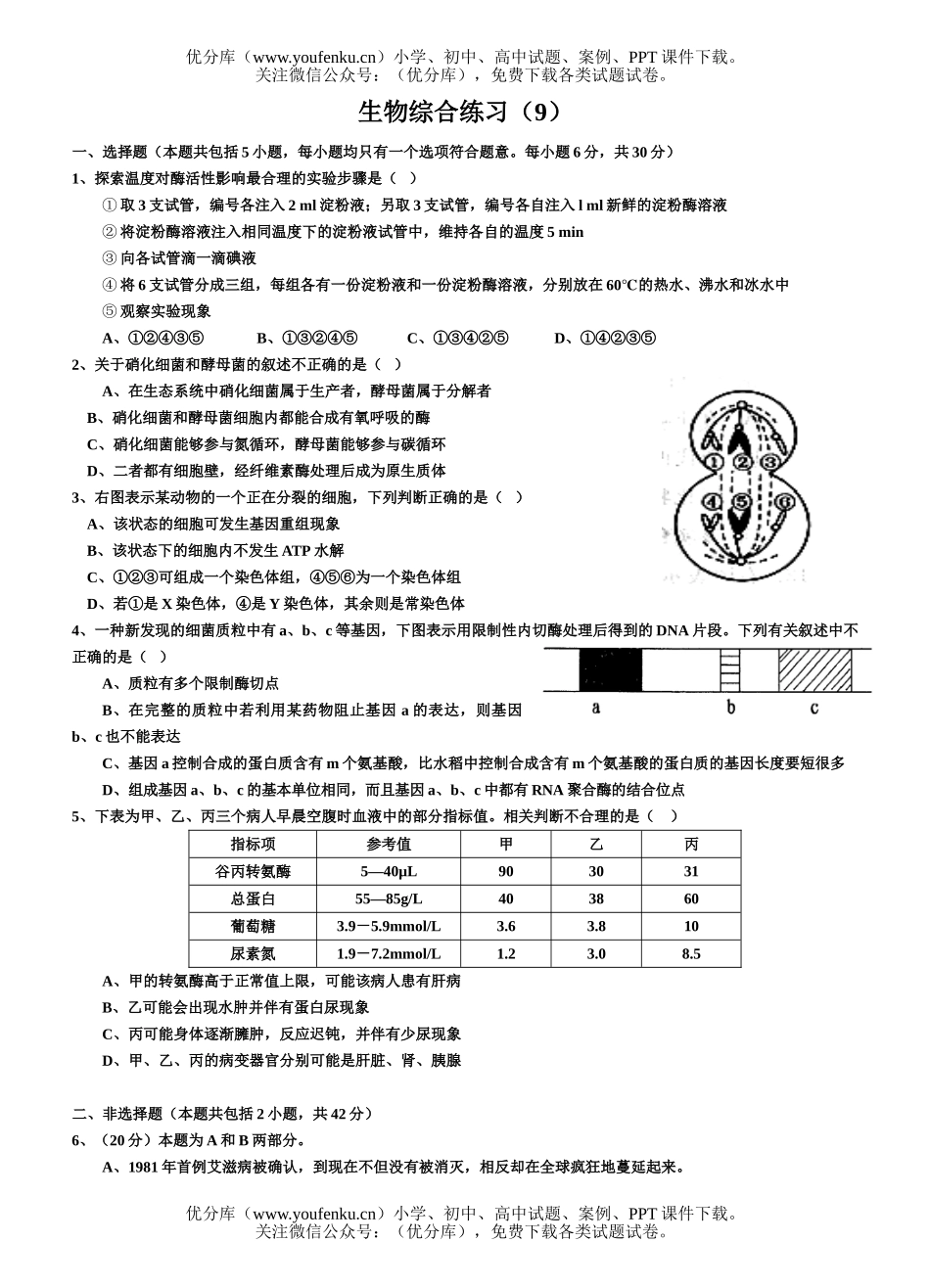 高中三年级生物综合练习9试卷_第1页