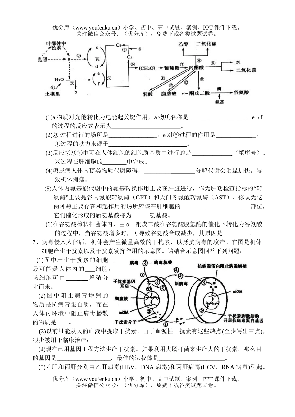 高中三年级生物08届综合练习1试卷_第3页