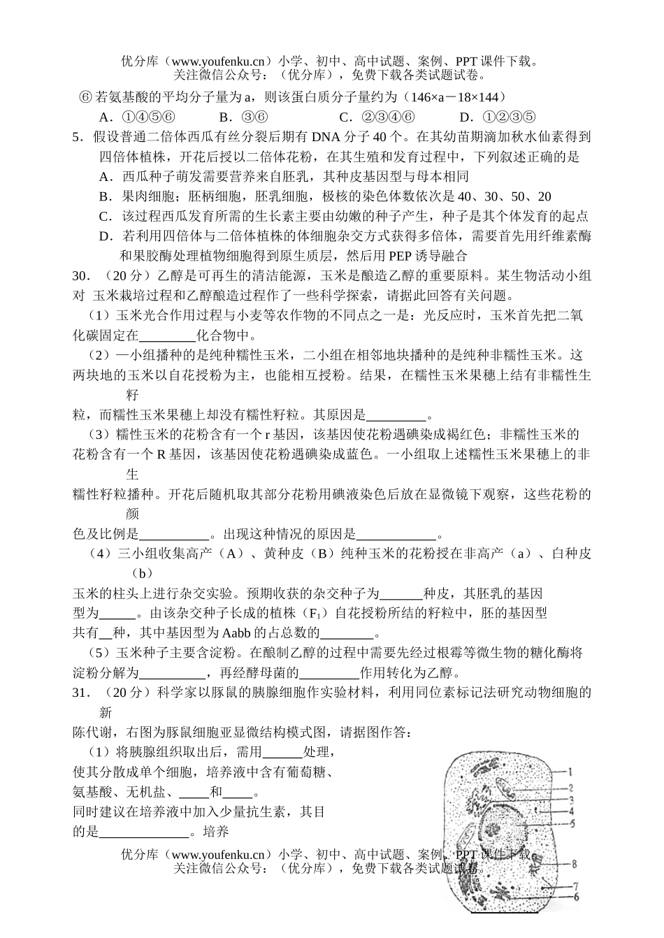 高中三年级生物复习理综周练题13试卷_第2页