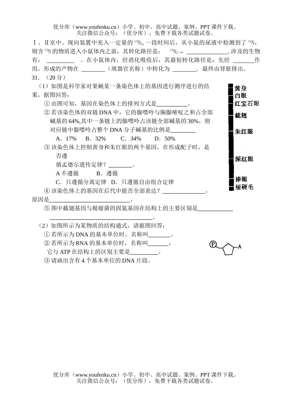 高中三年级生物理科综合月考试卷_第3页