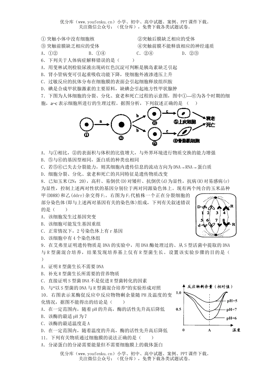 高中三年级生物08年高考预测卷1试卷_第2页