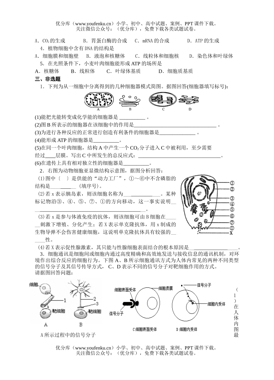 高中三年级生物08届限时作业题3试卷_第3页