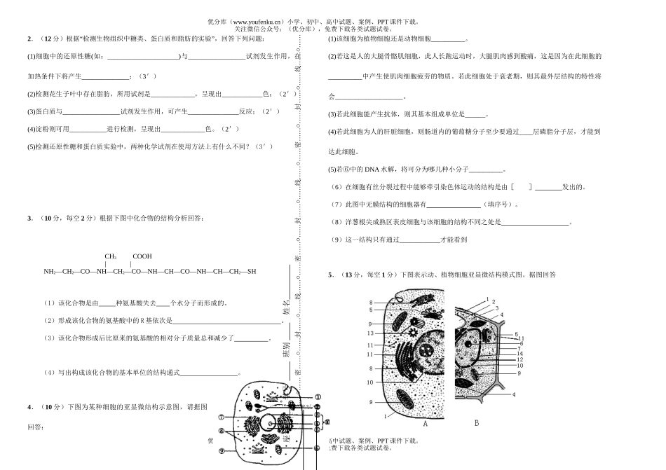 高中三年级生物09届上期9月统测试卷_第3页