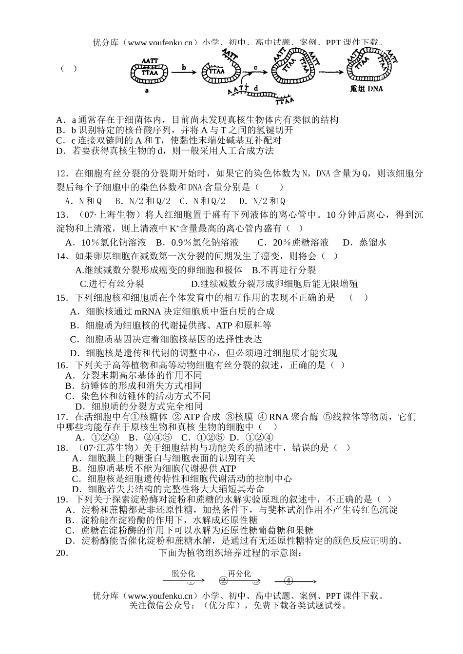 高中三年级生物08届十一月份月考考试卷_第3页