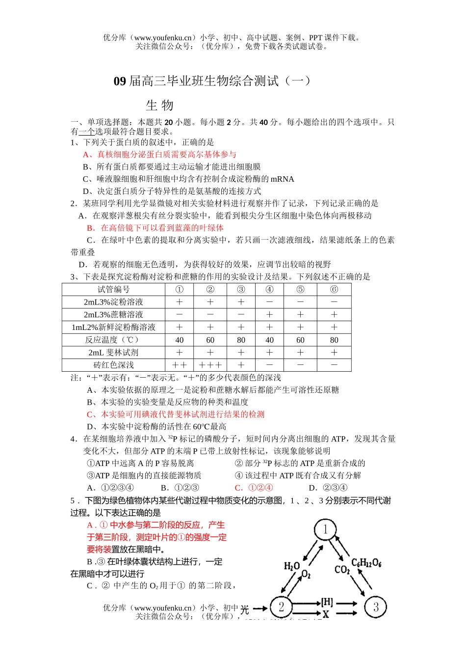 高中三年级生物09届毕业班综合测试1试卷_第1页