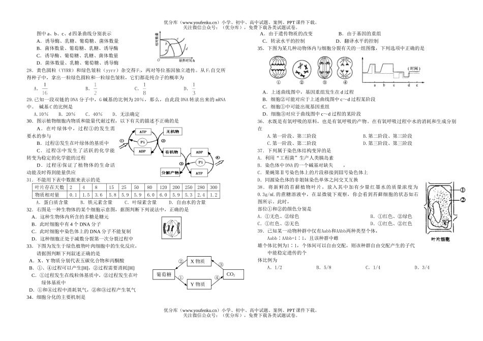 高中三年级生物08届上学期期末综合练习试卷_第3页
