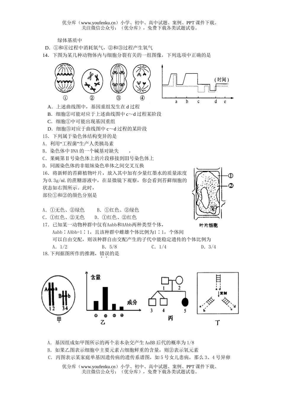 高中三年级生物08届综合练习4试卷_第3页