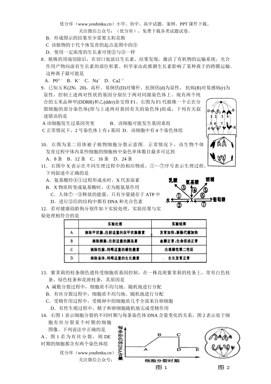 高中三年级生物08届第四次质量检测试卷_第2页