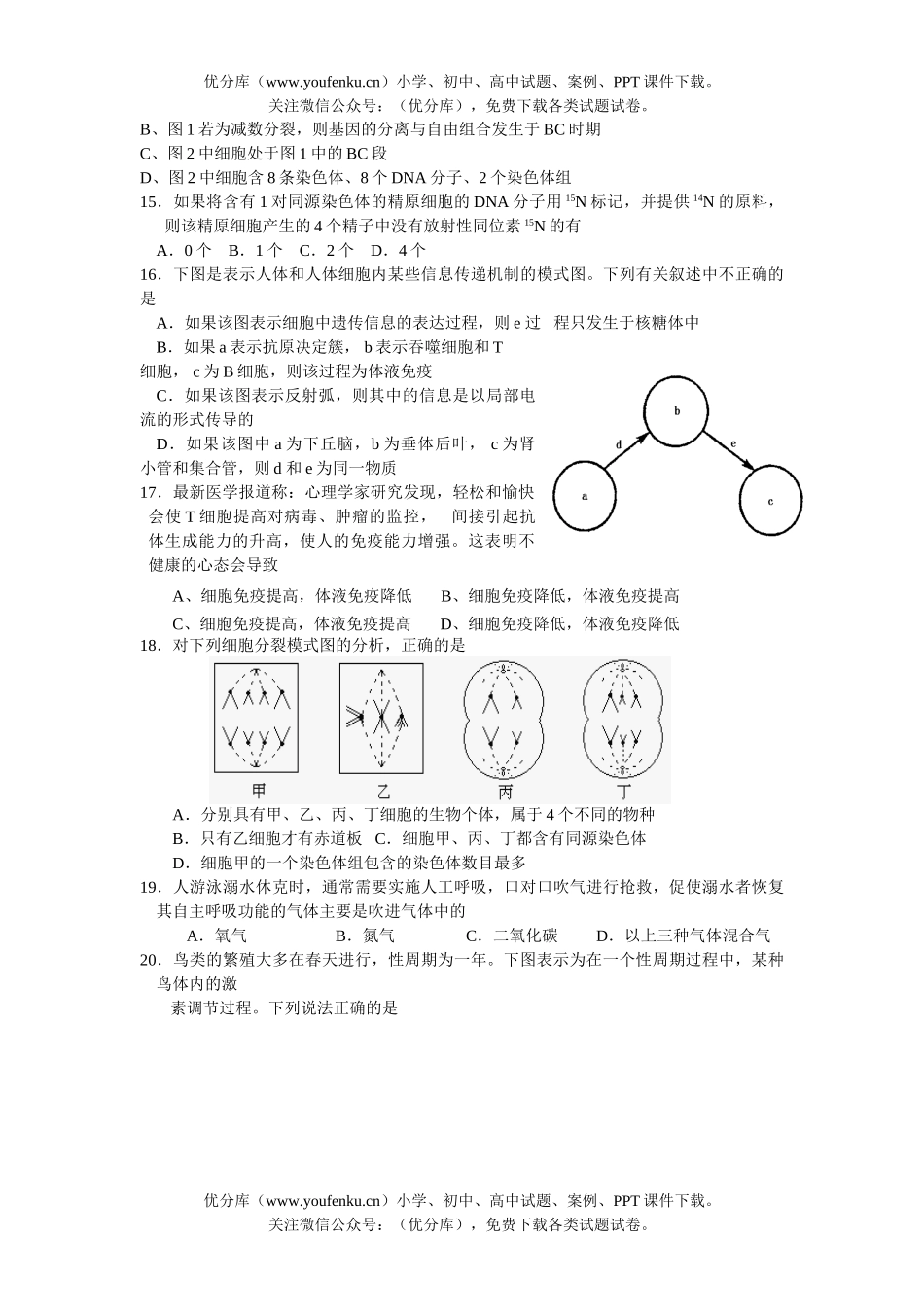 高中三年级生物08届第四次质量检测试卷_第3页
