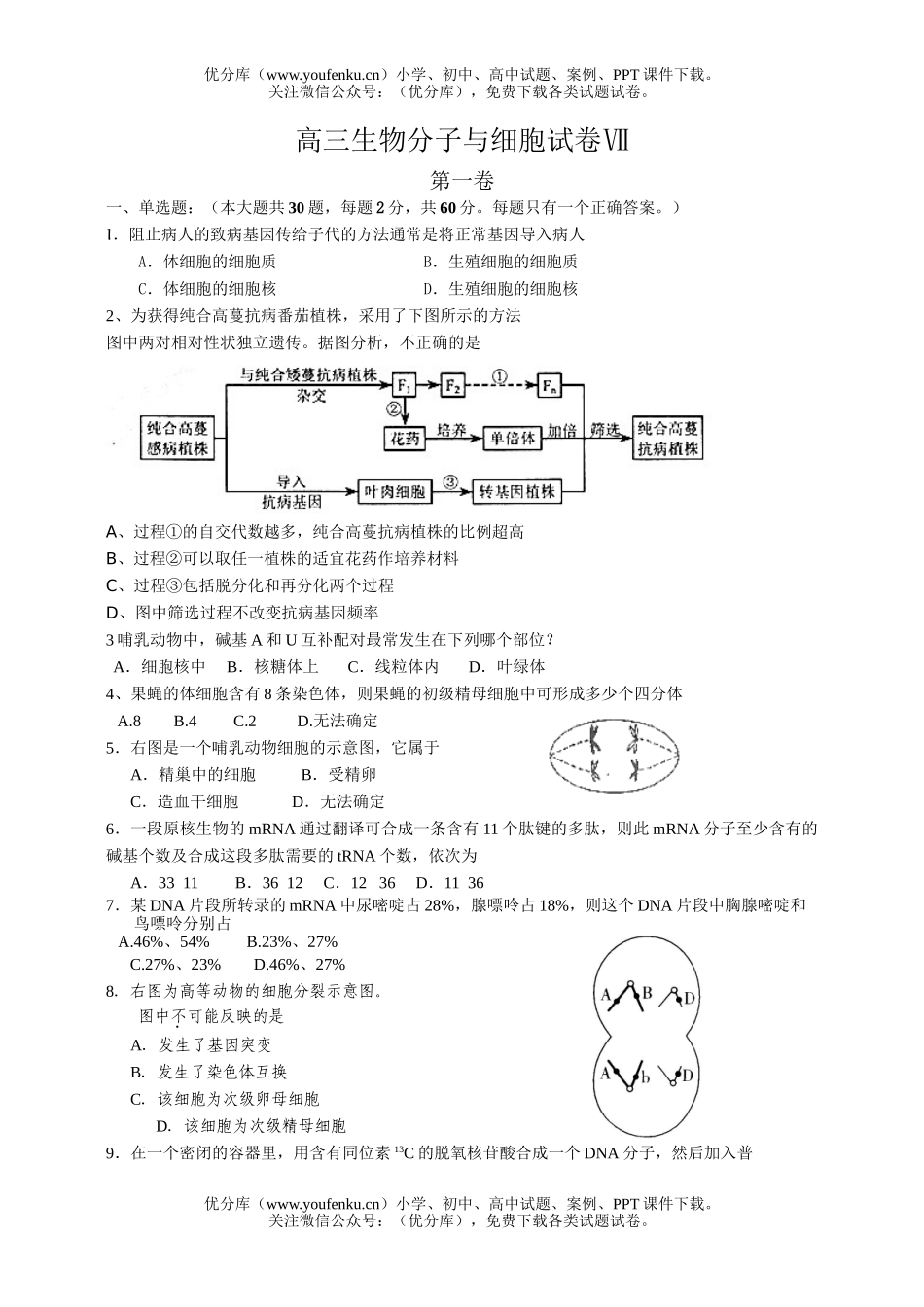 高中三年级生物分子与细胞5试卷_第1页