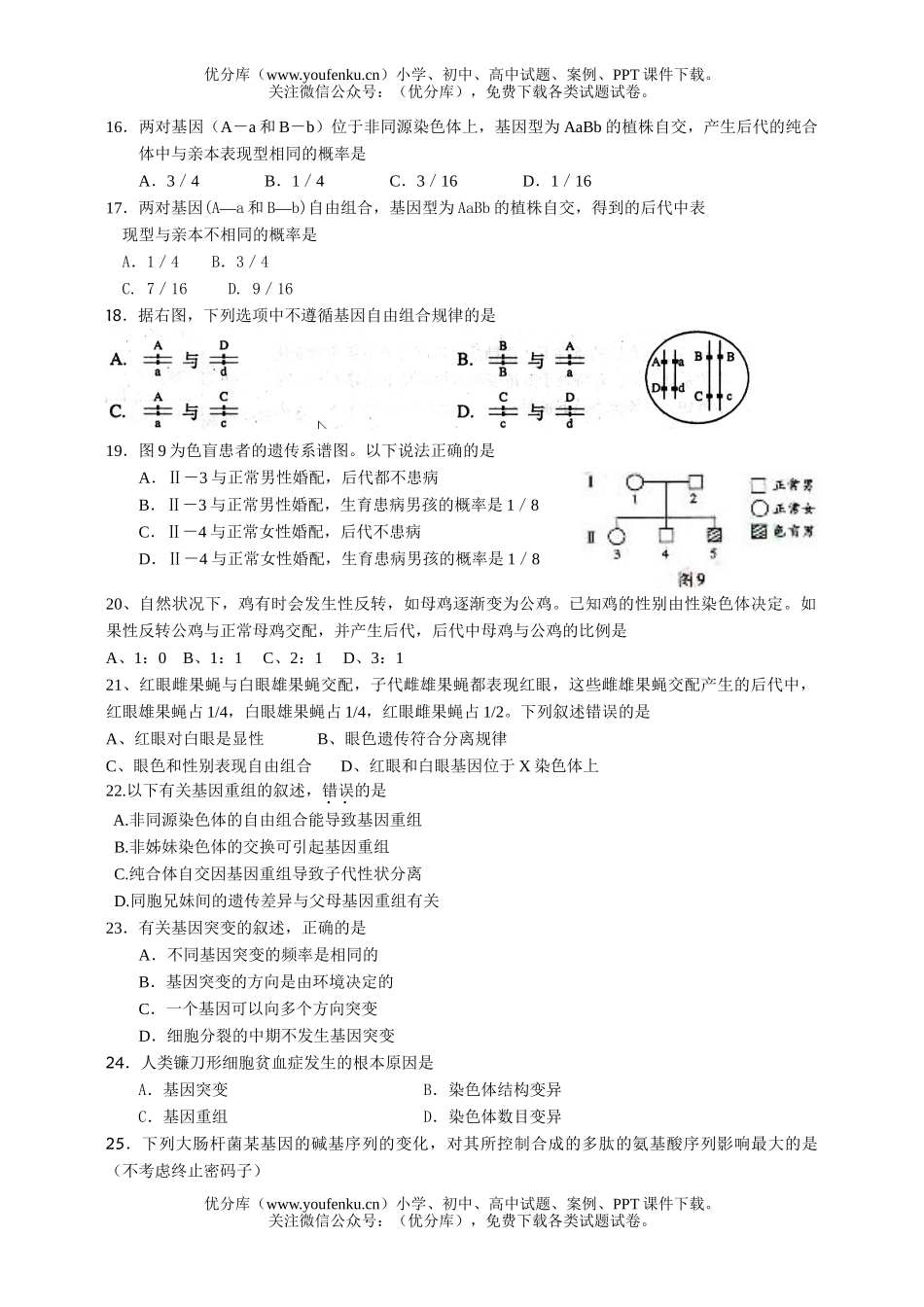 高中三年级生物遗传与进化2试卷_第3页