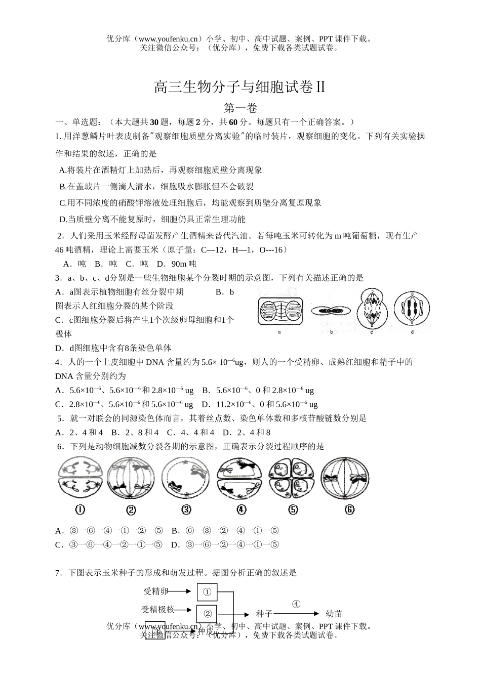 高中三年级生物分子与细胞2试卷_第1页