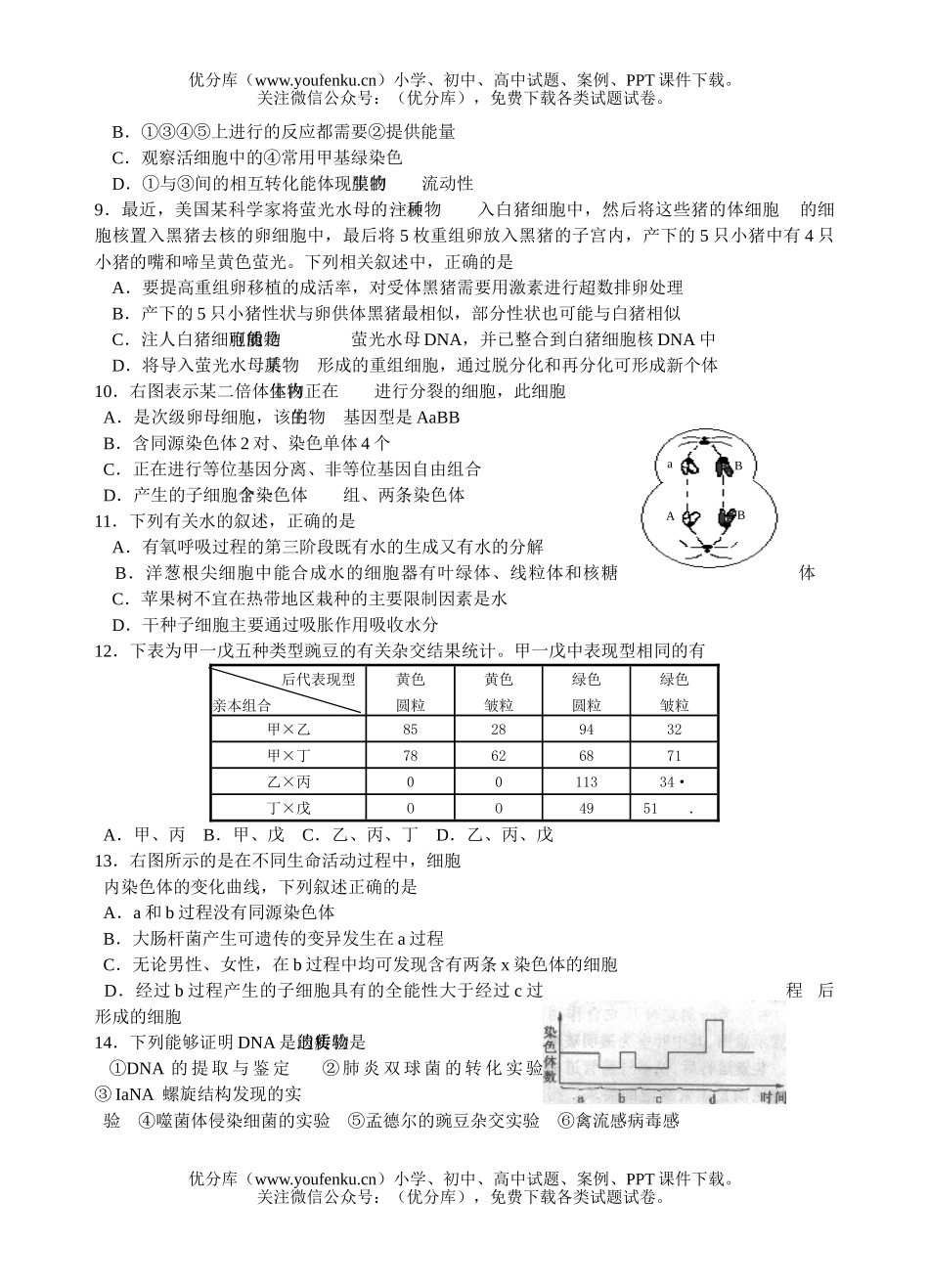 高中三年级生物09届复读班第一次模拟试卷_第2页