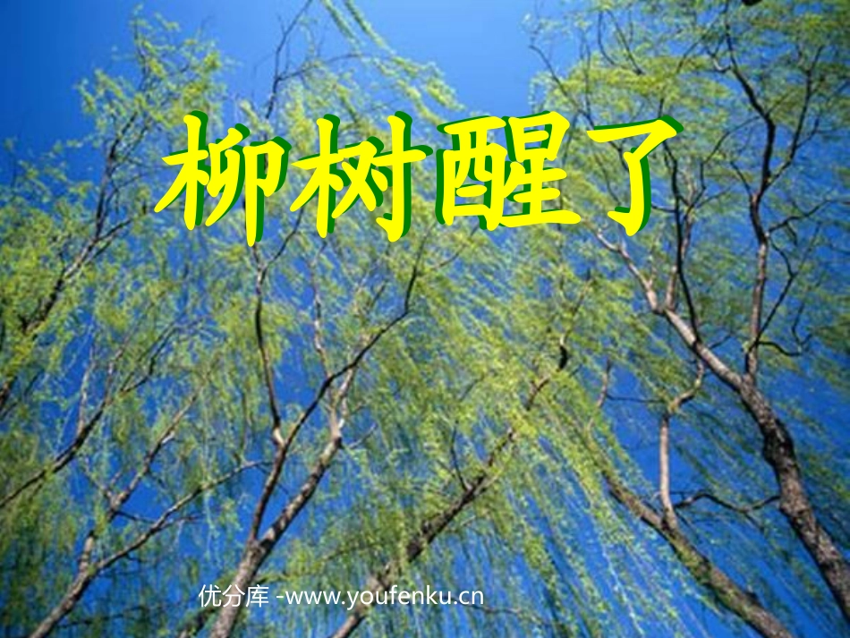部编版一年级语文柳树醒了PPT课件_第1页