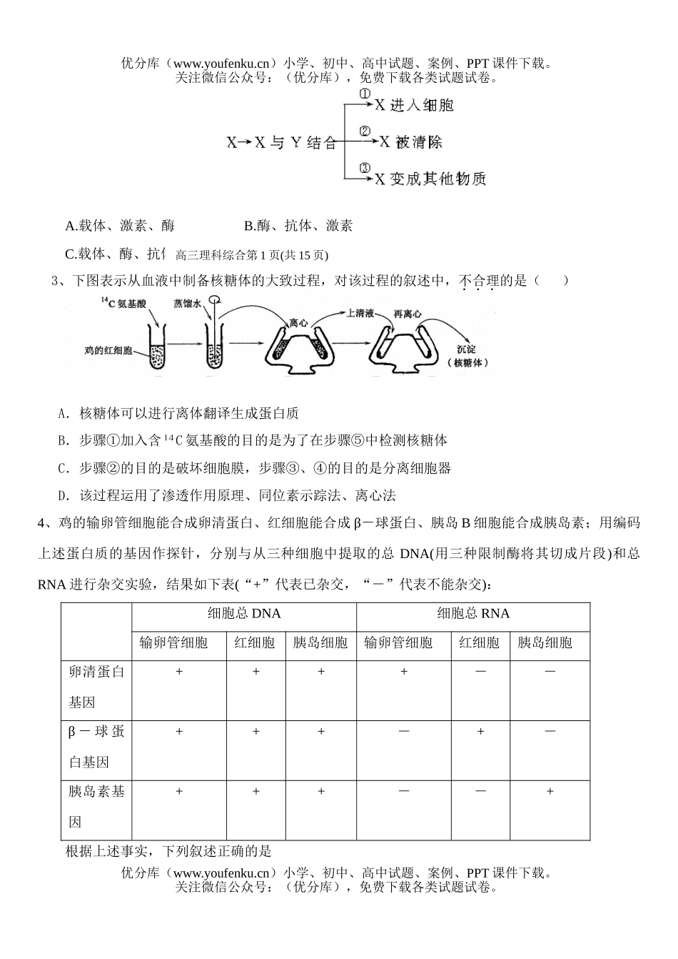 高中综合部理科综合月考试卷_第2页