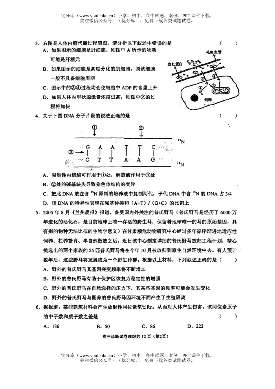 理科综合理综诊断考试卷_第3页