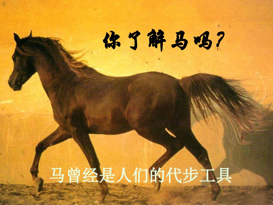 《天马》PPT课件[北师大版五年级语文上册]_第2页