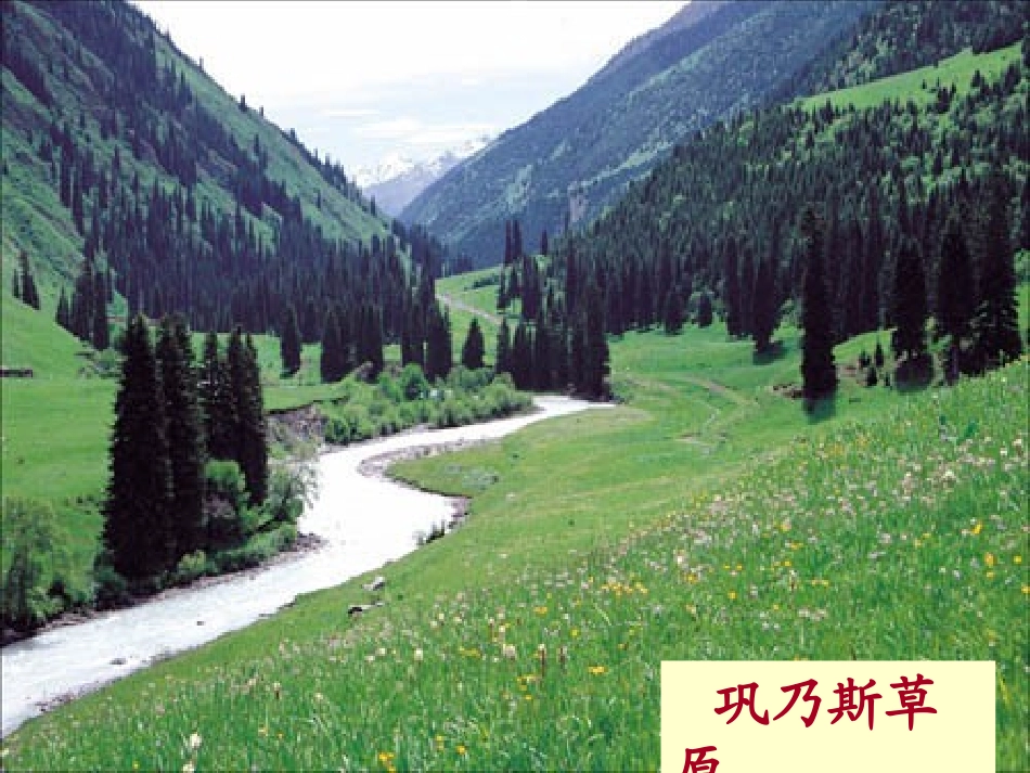 《巩乃斯的马》PPT课件[北师大版五年级语文上册]_第2页